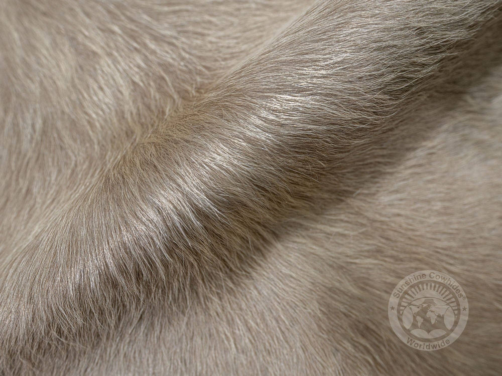 Taupe Cowhide Rug: Brazil / 6 X 6-7' / Taupe