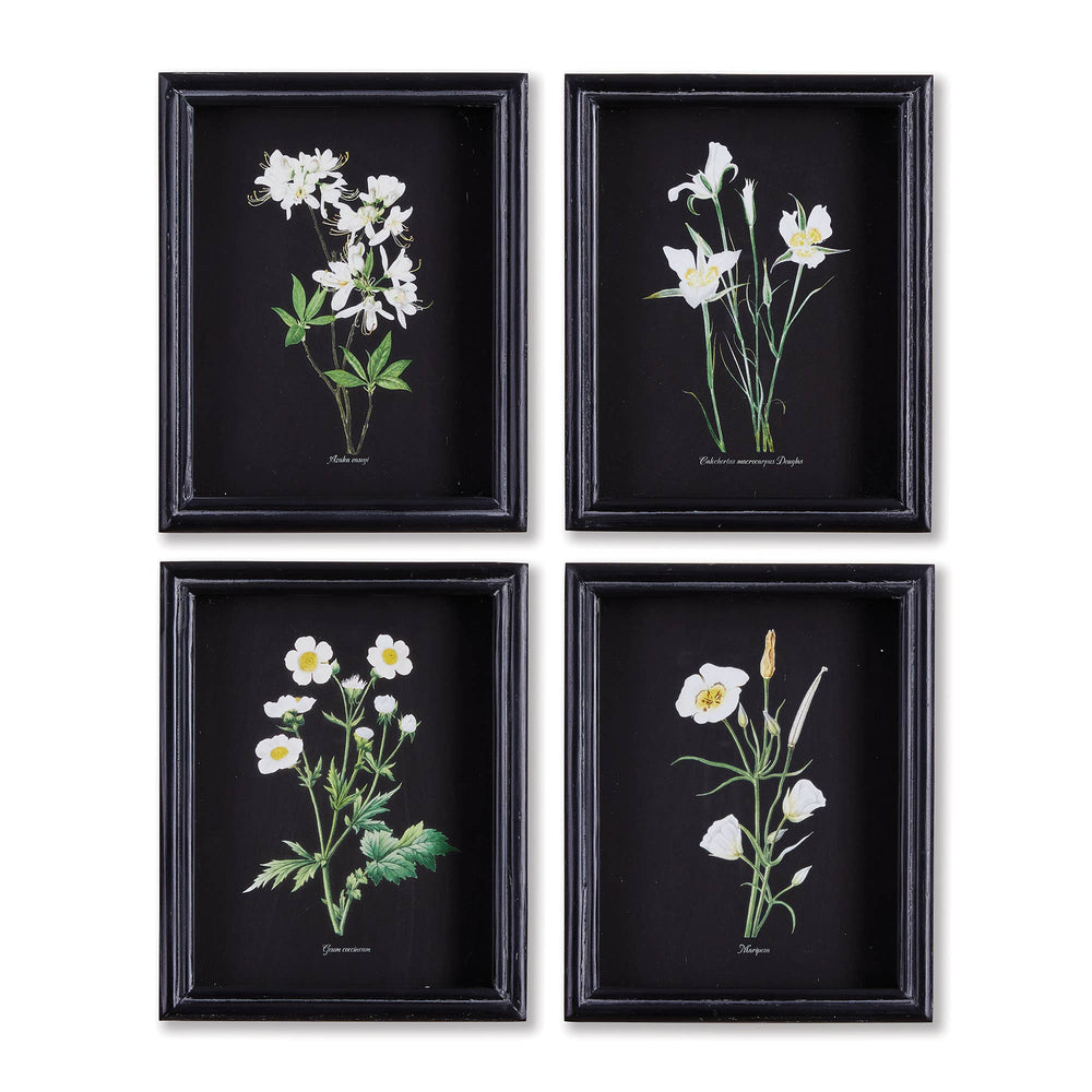 Perennial Petite Prints, Set Of 4